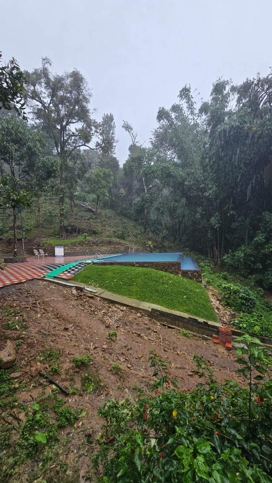 Misty Pine Forest Cottage in Coorg